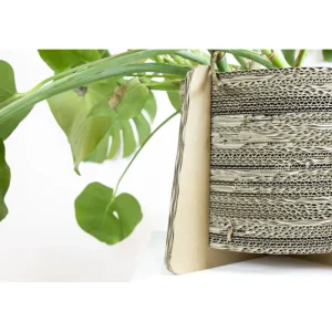 Fashion KarTent Blumen- Und Pflanzentopf Aus Pappe Mit Fusen - Madelief