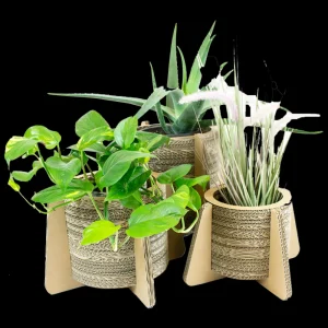 Fashion KarTent Blumen- Und Pflanzentopf Aus Pappe Mit Fusen - Madelief