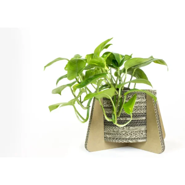 Fashion KarTent Blumen- Und Pflanzentopf Aus Pappe Mit Fusen - Madelief
