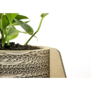 Fashion KarTent Blumen- Und Pflanzentopf Aus Pappe Mit Fusen - Madelief