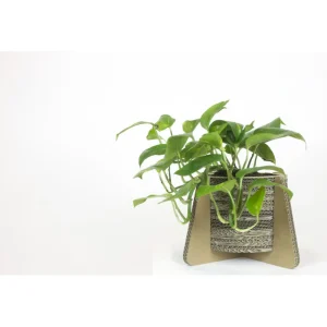 Fashion KarTent Blumen- Und Pflanzentopf Aus Pappe Mit Fusen - Madelief