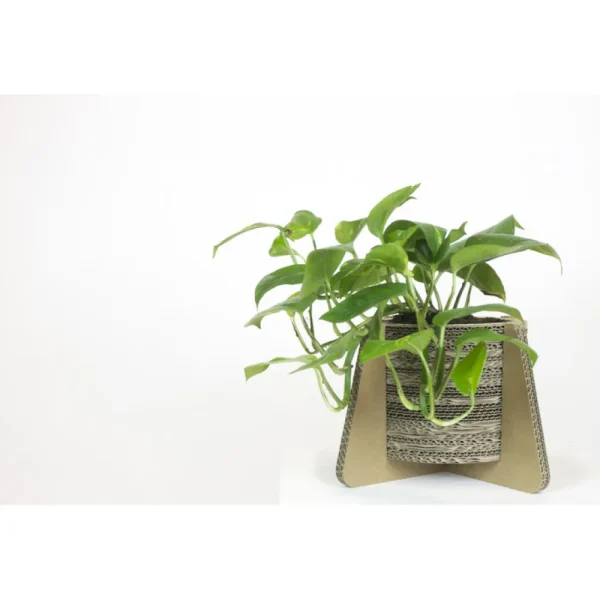 Fashion KarTent Blumen- Und Pflanzentopf Aus Pappe Mit Fusen - Madelief