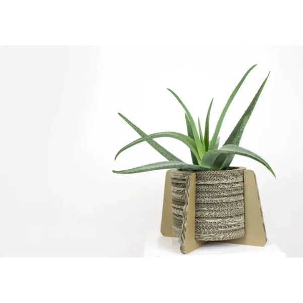 Fashion KarTent Blumen- Und Pflanzentopf Aus Pappe Mit Fusen - Madelief