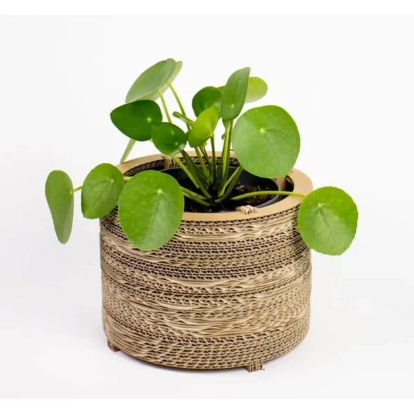 Hot KarTent Blumentopf Und Pflanztopf Aus Pappe - Roos
