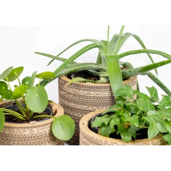 Hot KarTent Blumentopf Und Pflanztopf Aus Pappe - Roos