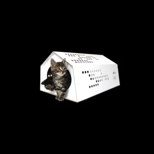 Cheap KarTent Karton Cattent - Das Zelt Fur Katzen