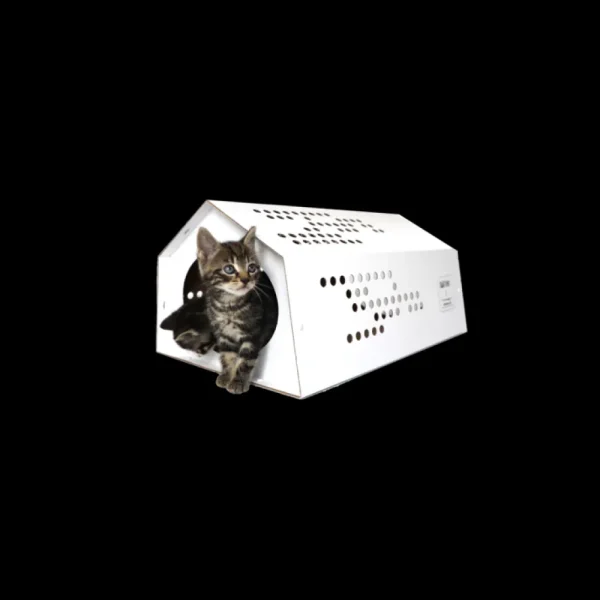 Cheap KarTent Karton Cattent - Das Zelt Fur Katzen