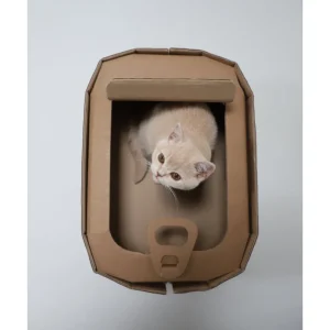 New KarTent Katzenkorb Aus Pappe Sardinen Konnen