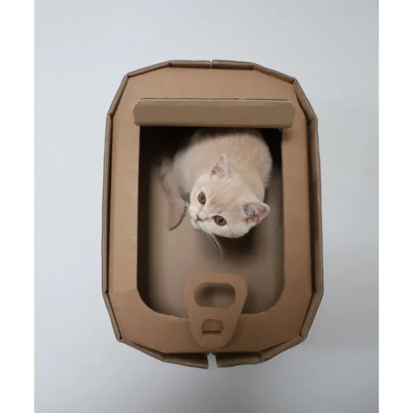 New KarTent Katzenkorb Aus Pappe Sardinen Konnen