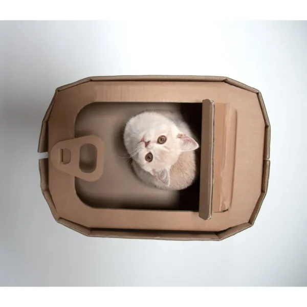 New KarTent Katzenkorb Aus Pappe Sardinen Konnen