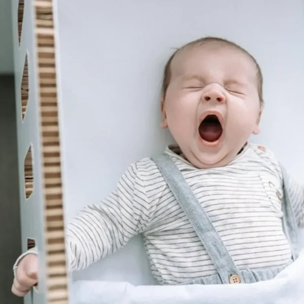 Cheap KarTent Papp-Babybett Papercrib Weis