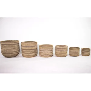 Sale KarTent Papp-Pflanztopf Ficus