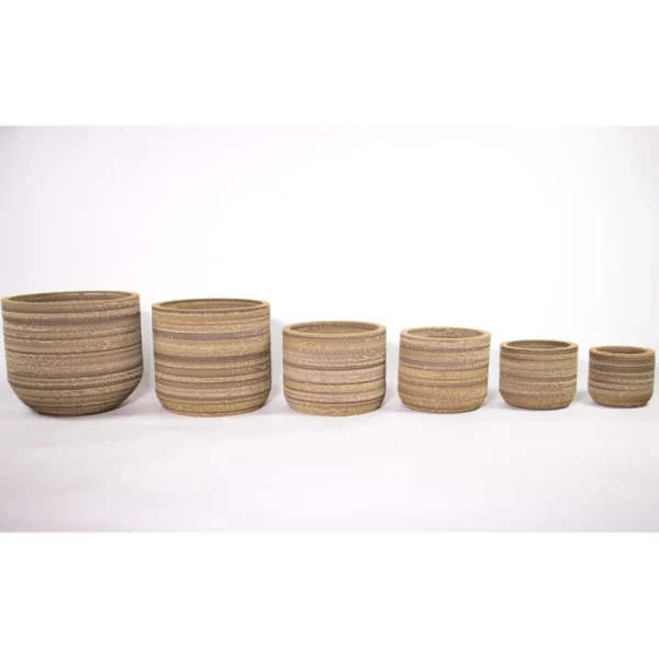 Sale KarTent Papp-Pflanztopf Ficus