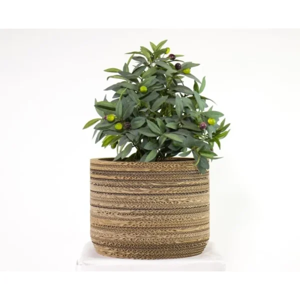 Sale KarTent Papp-Pflanztopf Ficus