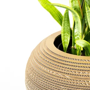 Hot KarTent Papp-Pflanztopf Monstera