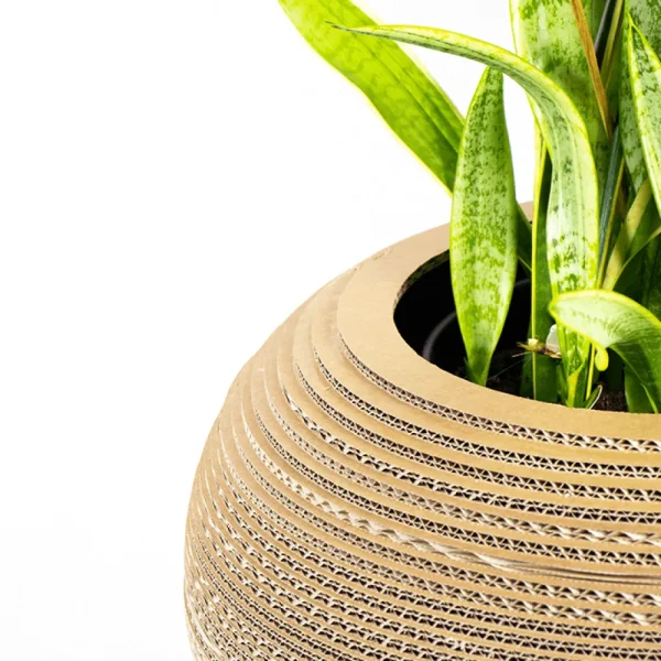 Hot KarTent Papp-Pflanztopf Monstera